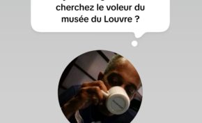 Ça va les gars...vous cherchez les voleurs du musée du Louvre ? Sérieusement ? Vous êtes sérieux ? 🤣🤣😂😜🤪🤪😛😎😎😎