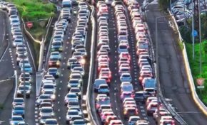 L'image du jour 27/11/25 -  Martinique