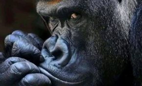 Cathou...on peut parler de...BABOU ?