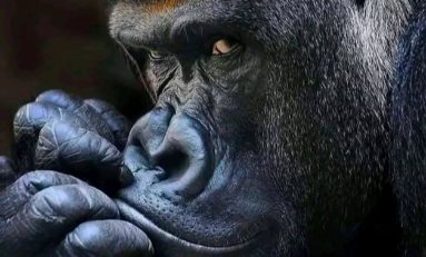 Cathou...on peut parler de...BABOU ?