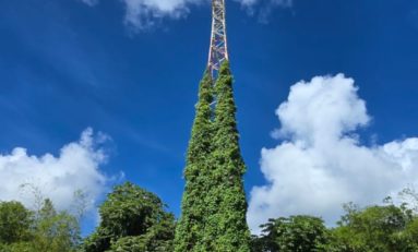 EDF et la Maison de l'Avocat souhaitent un Joyeux Noël à la Martinique