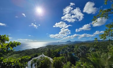 L'image du jour 27/12/25 - Paradise Island- Martinique