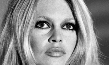Brigitte Bardot  : "Si on peut s'occuper des nègres, alors pourquoi pas des chiens ?"