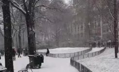 Paris...en mode Sinobol Day