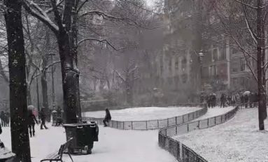 Paris...en mode Sinobol Day