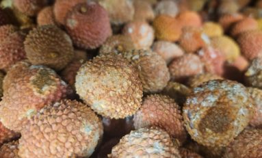 Martinique : Carrefour Vauclin lance le mois du moisi !!!