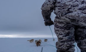 L’Europe : la dignité ou la chute